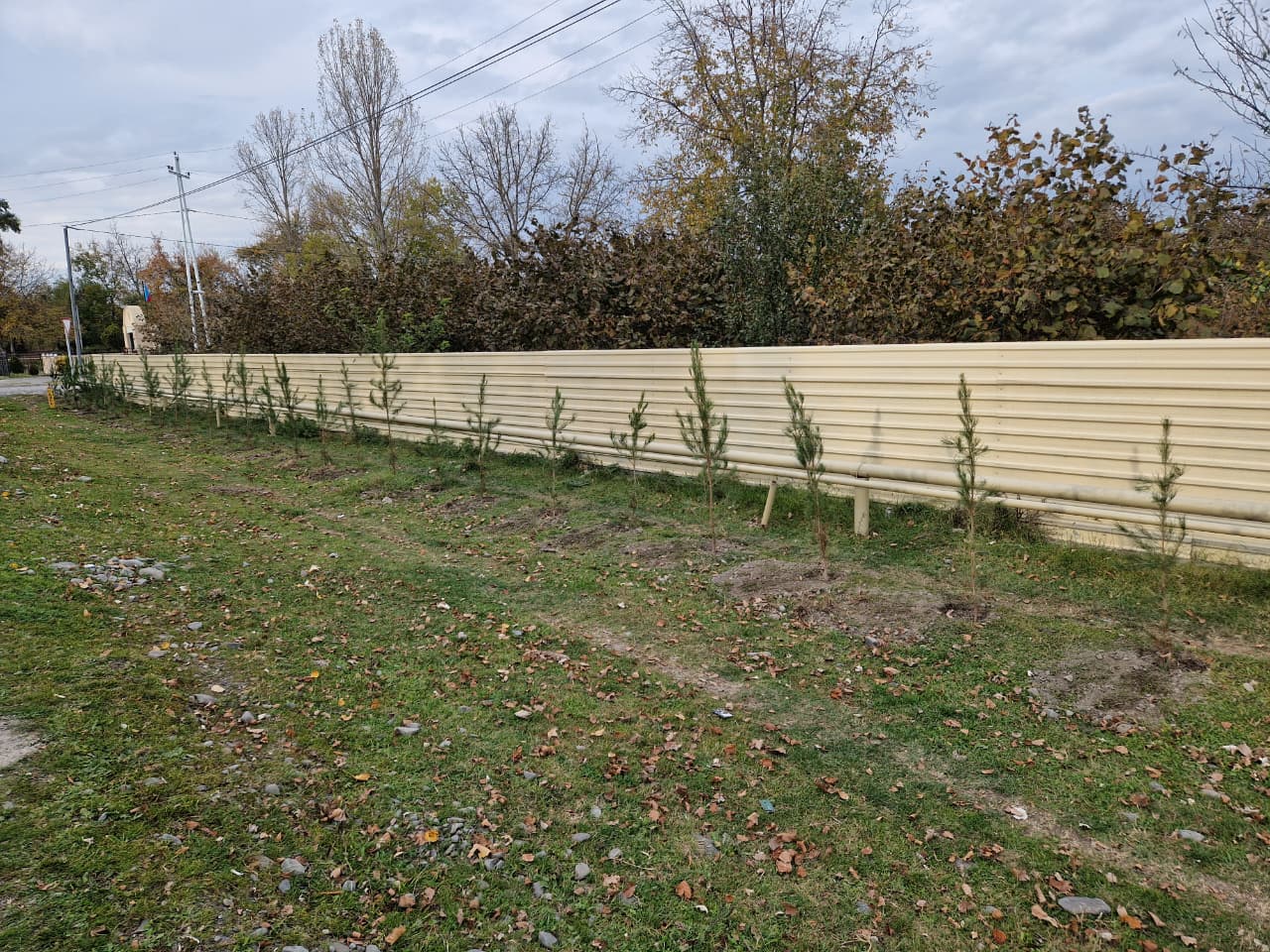 WhatsApp Image 2025-11-06 at 12.51.19.jpeg