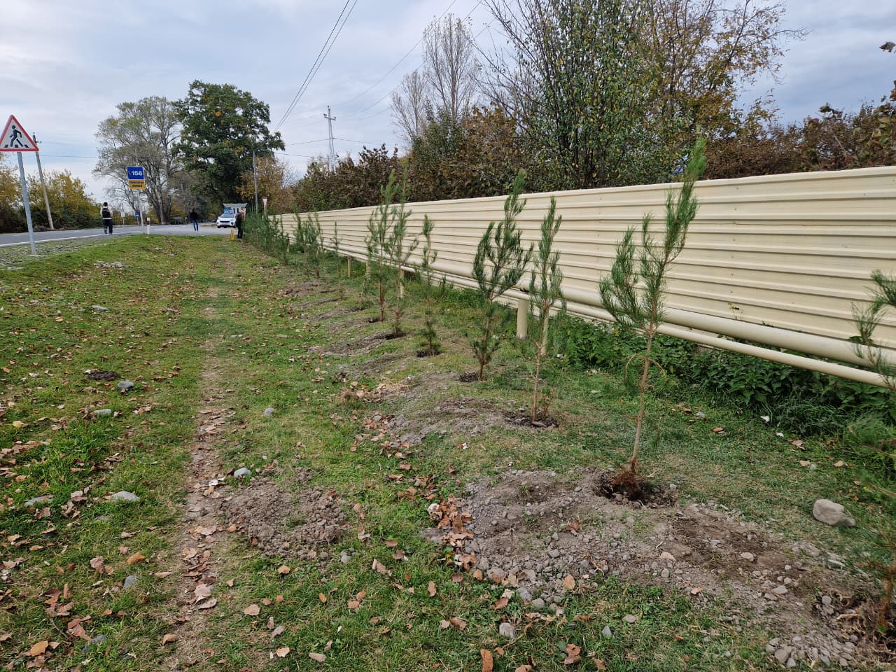 WhatsApp Image 2025-11-06 at 12.51.20.jpeg