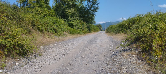 “Şəhərsalma və Memarlıq İli” çərçivəsində növbəti təmizlik aksiyası keçirilib