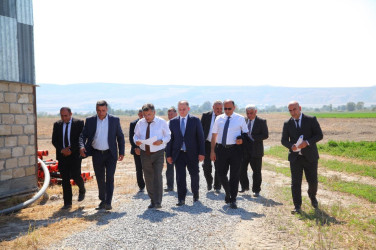 Oğuzda aqrar sahənin inkişafına yönəlmiş yeni layihələr həyata keçirilir