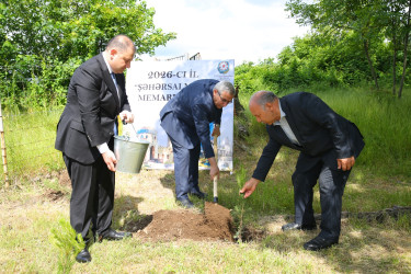 28 May-Müstəqillik Günü münasibətilə ağacəkmə aksiyası keçirildi