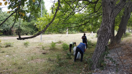 “Şəhərsalma və Memarlıq İli” çərçivəsində təmizlik aksiyası