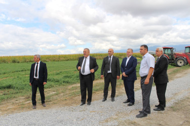 Oğuzda kənd təsərrüfatının inkişafı istiqamətində yeni layihələr həyata keçirilir