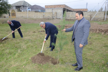 Energetika işçilərinin peşə bayramı qeyd olunub