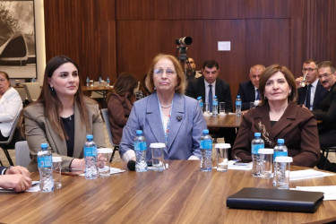 Gender məsələləri üzrə keçirilən tədbirdə Oğuz RİH müavini Aliyə Osmanova iştirak etmişdir