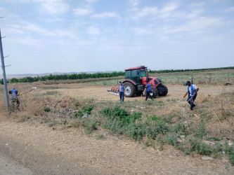 Təmizlik aksiyaları davam etdirilir