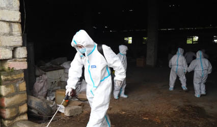 Oğuz rayonunda kompleks mülki müdafiə təlimi keçirilib