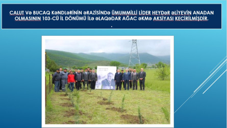 Rayon İcra Hakimiyyəti başçısı yanında Şuranın növbəti iclası keçirilmişdir
