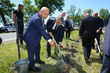 Ümummilli Lider Heydər Əliyevin anadan olmasının 103-cü ildönümü münasibətilə 10 may 2026-cı il tarixdə növbəti ağacəkmə aksiyası keçirilmişdir.