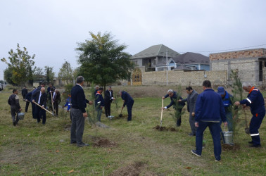 Energetika işçilərinin peşə bayramı qeyd olunub