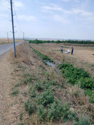 Təmizlik aksiyaları davam etdirilir