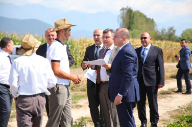 Oğuzda aqrar sahənin inkişafına yönəlmiş yeni layihələr həyata keçirilir
