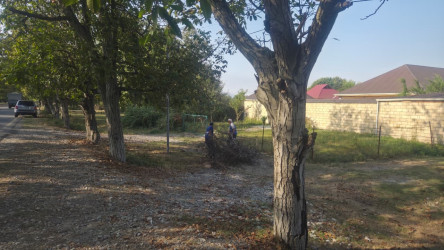 Təmizlik aksiyaları “Şəhərsalma və Memarlıq İli” çərçivəsində davam edir