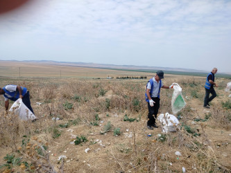 Təmizlik aksiyaları davam etdirilir