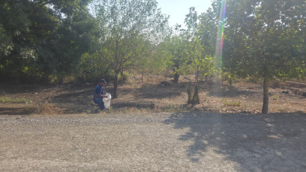 Təmizlik aksiyaları “Şəhərsalma və Memarlıq İli” çərçivəsində davam edir