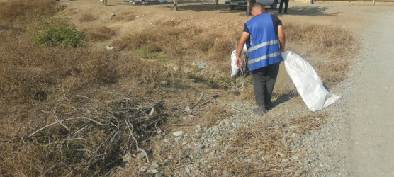 Təmizlik aksiyaları “Şəhərsalma və Memarlıq İli” çərçivəsində davam edir