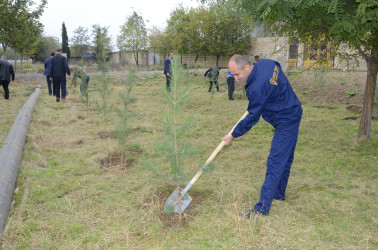 Energetika işçilərinin peşə bayramı qeyd olunub