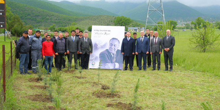 Oğuzda “Şəhərsalma və Memarlıq ili” çərçivəsində növbəti ağacəkmə aksiyası keçirilib