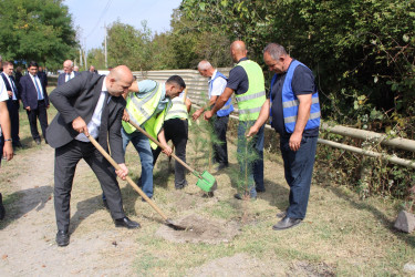 Dövlət Suverenliyi Günü münasibətilə ağacəkmə aksiyası keçirilib