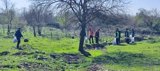 Oğuz rayonunda “Şəhərsalma və Memarlıq İli” çərçivəsində təmizlik aksiyaları davam edir