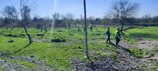 Oğuz rayonunda “Şəhərsalma və Memarlıq İli” çərçivəsində təmizlik aksiyaları davam edir